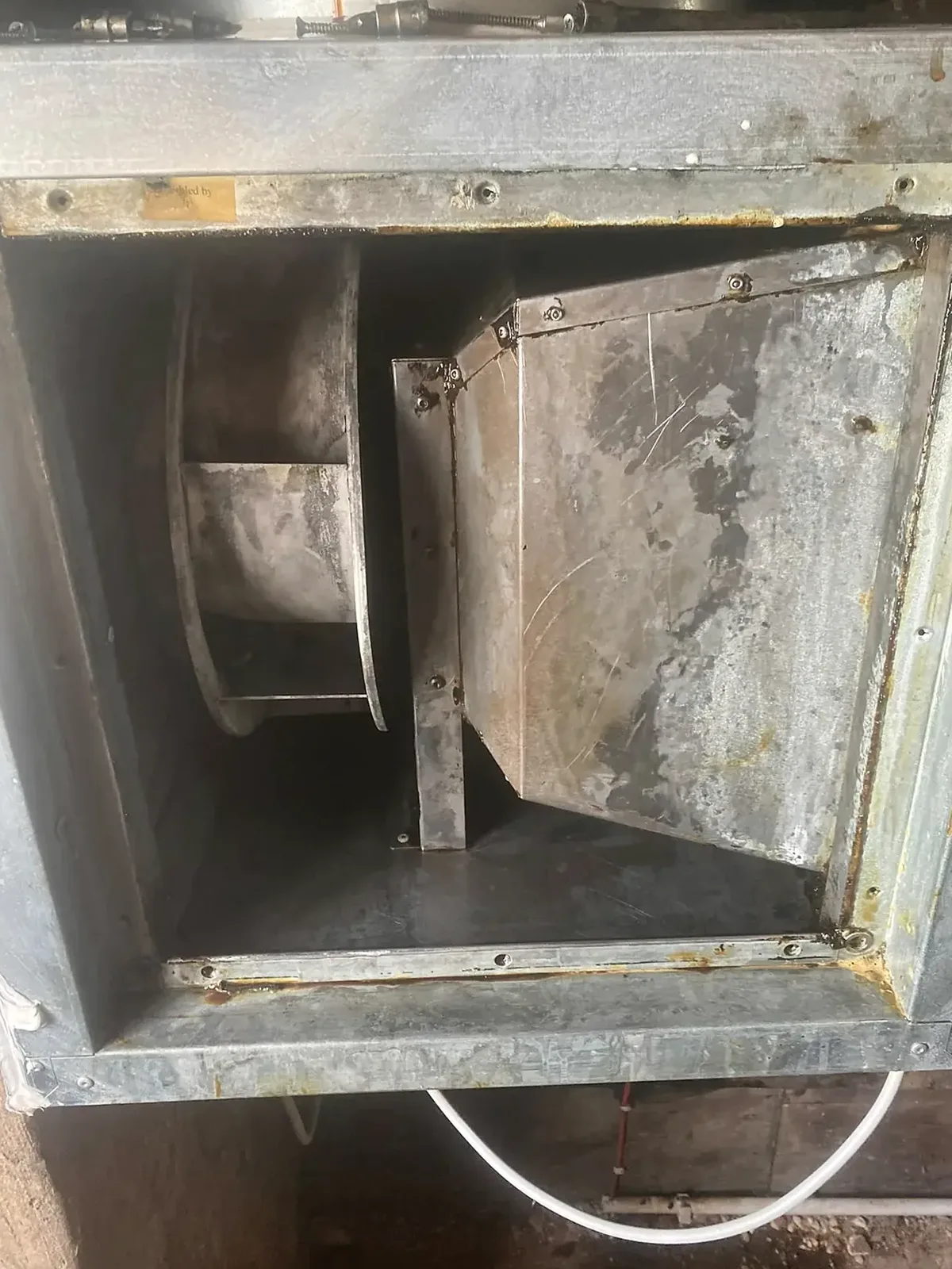 Nachher: gereinigtes Ventilatorgehäuse der Küchenabluftanlage